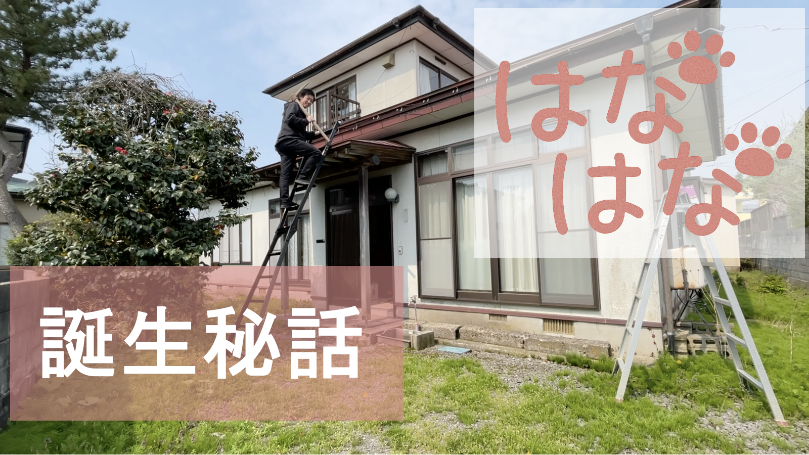 はなはな誕生秘話